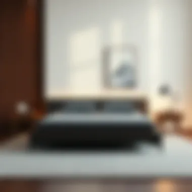 Notable Exploring the Soft Twin Bed Frame: A Comprehensive Guide