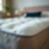 Overview of Stiff Mattress Pad An overview of a stiff mattress pad showcasing its texture and design.