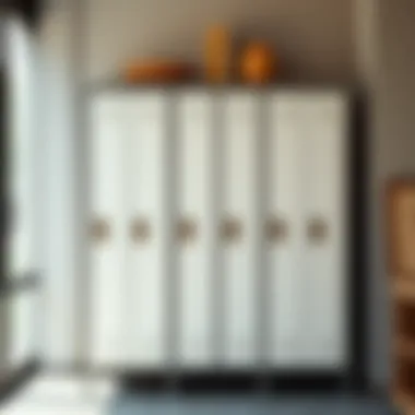 Notable Exploring the Versatility and Utility of Small Lockers