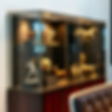 Showcasing Collectibles in Style Elegant display of collectibles in a modern acrylic case