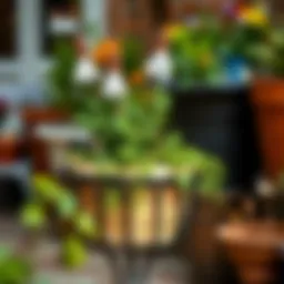 Exploring the Versatility of Garden Pot Holders Introduction