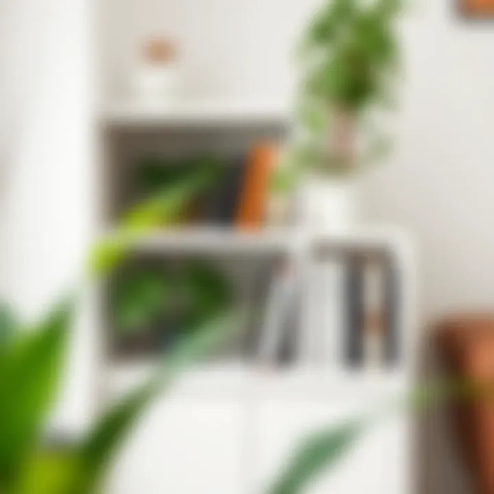 Detailed View of Shelf with Greenery and Literature Close-up of a white corner shelf with plants and books