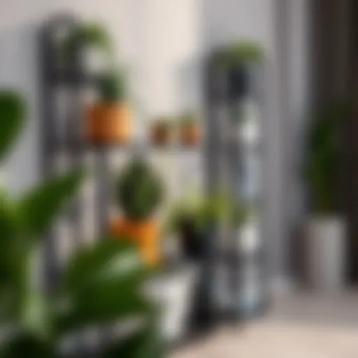 Sleek black metal plant rack showcasing various indoor plants