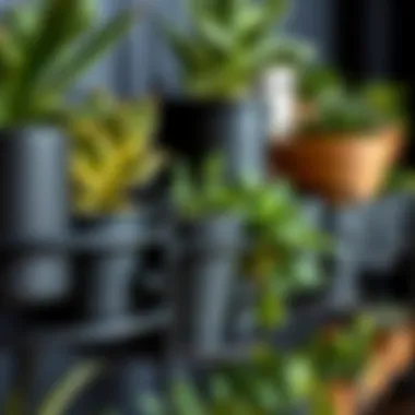 Materials of Elegance: Black Plant Rack Variations Close-up of diverse materials used in black plant racks