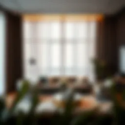 Elegant living room showcasing 62-inch long curtains in a modern setting