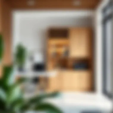 Minimalistic Office Integration of Narrow Cabinets Stylish narrow short cabinet in a minimalistic office setting