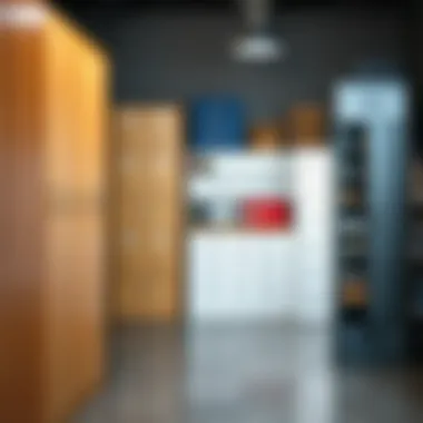 Diverse Storage Solutions in File Cabinets A variety of file cabinets highlighting different storage solutions and functionalities