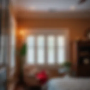 Handy Home Products: A Deep Dive into Window Shutters Summary