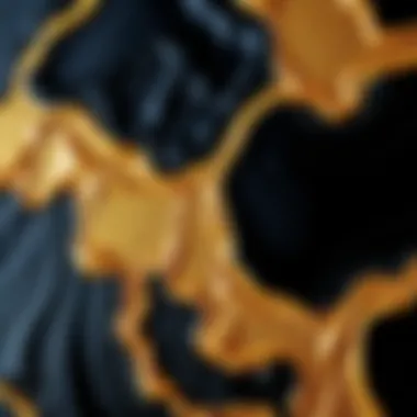 Textures that Captivate and Inspire Close-up of intricate textures in black and gold artwork