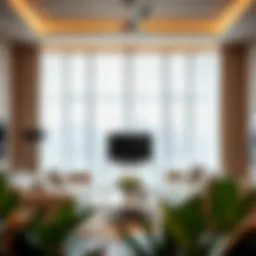 Elegant lite out curtains in a modern living room