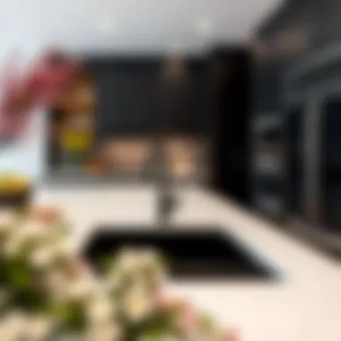 Luxury Defined: Black Sink in Upscale Kitchen Luxurious kitchen interior featuring a black under mount sink alongside high-end appliances