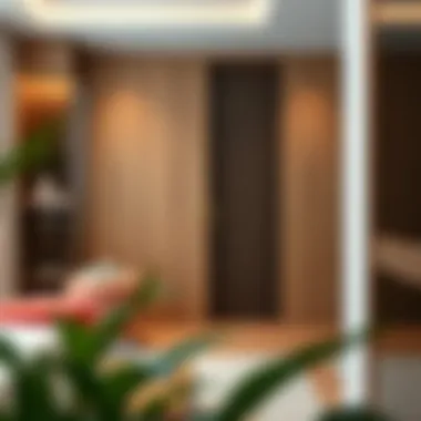 Contemporary closet doors showcasing various materials