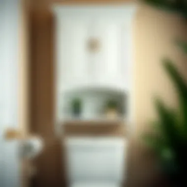 Elegant above the toilet storage cabinet with decorative accents