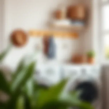 Functional hooks and racks for laundry area