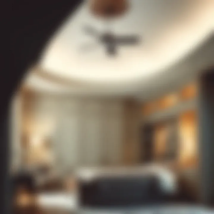 Vaulted ceiling with uniquely designed closet doors