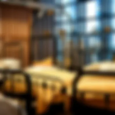 Diverse Designs of Metal Bed Frames Various designs of metal bed frames showcased together