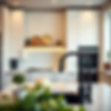 Contrast in Kitchen Aesthetics with Black Sink Contemporary kitchen showcasing a stylish black under mount sink in contrast with light cabinetry