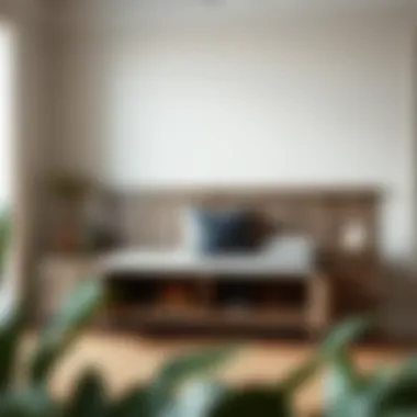 Dual Purpose: Combining Seating and Shoe Storage in Small Areas Multi-functional furniture combining seating and shoe storage