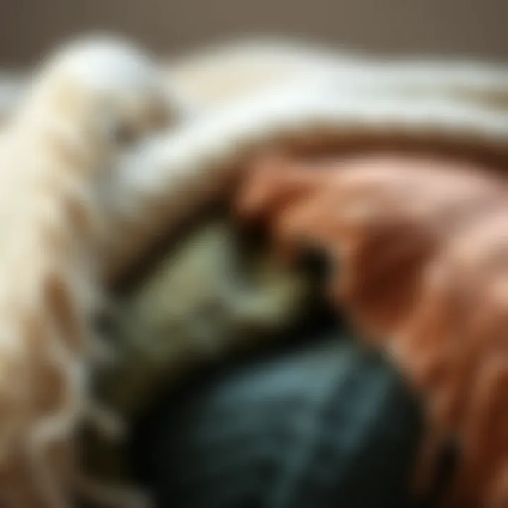 Textural Diversity in Blanket Fabrics Close-up of blanket materials showcasing different textures