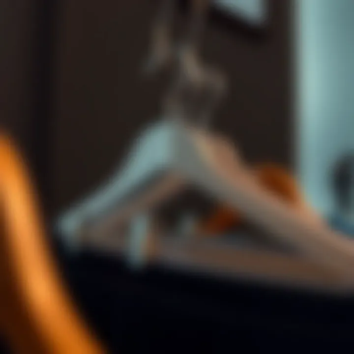 Non-Slip Features for Garment Security Close-up of a non-slip pants hanger demonstrating effective grip