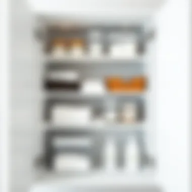 Efficient Organization and Hygiene Interior view showcasing organized shelves within a mirrored medicine cabinet