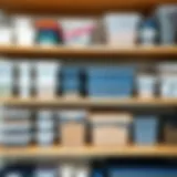 Neatly organized plastic storage containers on shelves