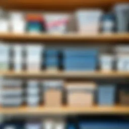 Neatly organized plastic storage containers on shelves