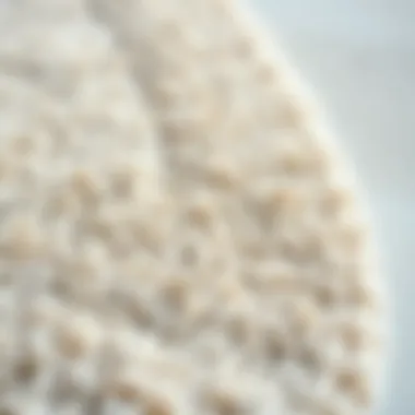 Close-up of texture on a plush oval rug