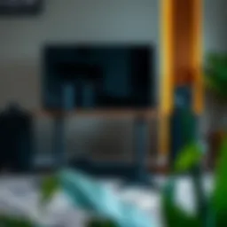 Different types of stereo stands showcasing versatility