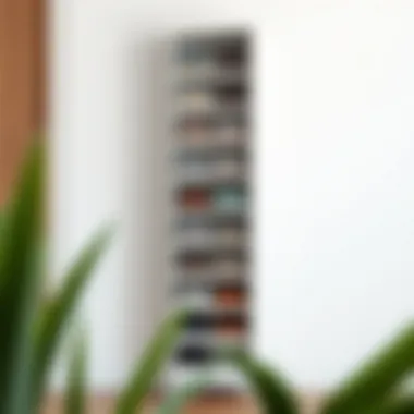 Sleek Tall Narrow Shoe Rack Sleek tall narrow shoe rack with multiple compartments