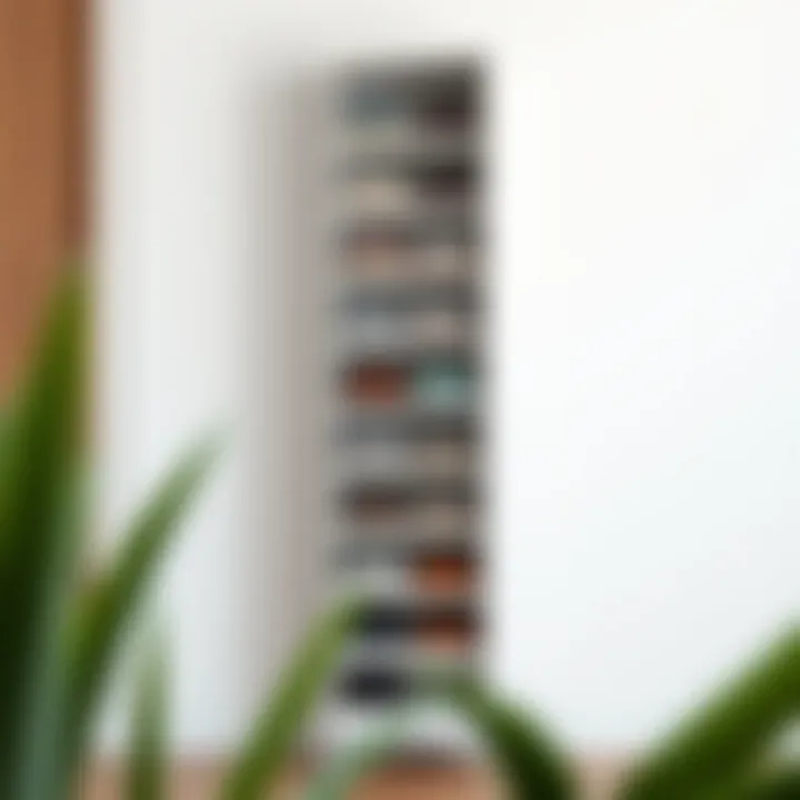 Sleek Tall Narrow Shoe Rack Sleek tall narrow shoe rack with multiple compartments