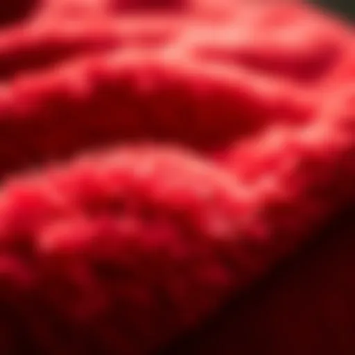 Close-up of luxurious red fleece texture