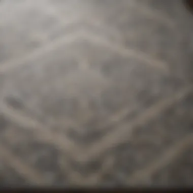 Close-up of intricate patterns on a gray area rug