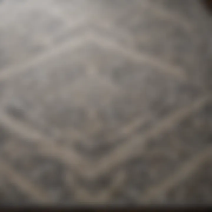 Close-up of intricate patterns on a gray area rug