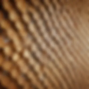 Close-up view of the cellular structure of honeycomb blinds