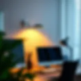 Elegant wall mounted desk lamp illuminating a modern workspace