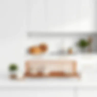 Minimalist Aesthetic with No Rust Dish Drying Rack Minimalist kitchen featuring sleek no rust dish drying rack