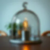 The Significance and Versatility of a 7 Inch Glass Dome in Home Decor Introduction