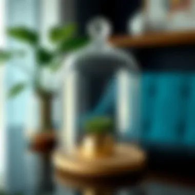 The Significance and Versatility of a 7 Inch Glass Dome in Home Decor Summary The Significance and Versatility of a 7 Inch Glass Dome in Home Decor Summary