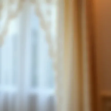 Elegant Beige Lace Curtain Elegant beige lace curtain draping a window