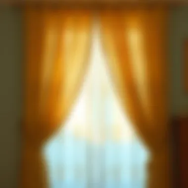 Natural Light Through Lace Curtains Natural light filtering through beige lace curtains