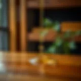 Close-up of mineral oil droplets on wood surface