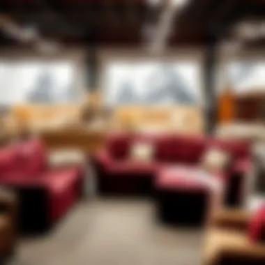 Showcasing Different Styles of Sleeper Sofas Various styles of sleeper sofas showcased