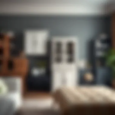 Versatile Designs of Small Storage Cabinets Variety of small storage cabinet designs showcasing versatility