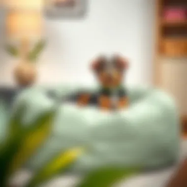 Easy maintenance of a washable dog bean bag