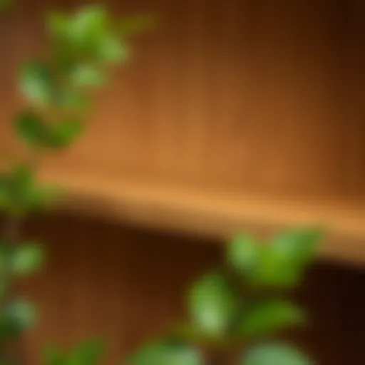 Elegant wooden shelf showcasing unique grain patterns